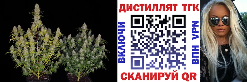 цены Рыбное ТГК концентрат
