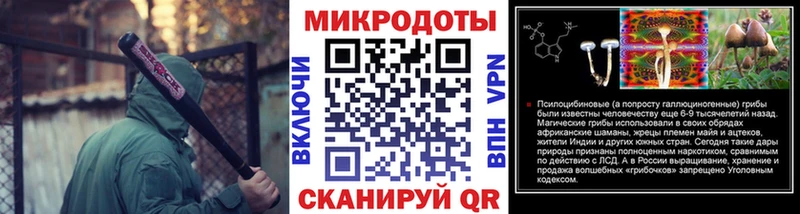 Галлюциногенные грибы Psilocybine cubensis  магазин    Рыбное 